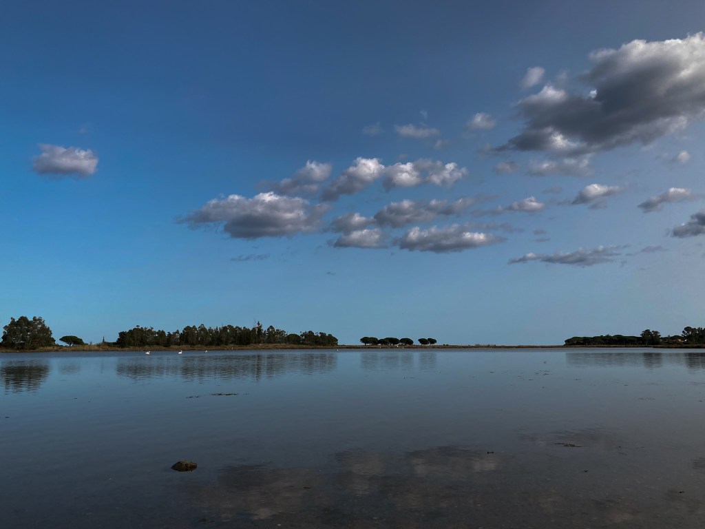 Brackwasserseen in La Caletta