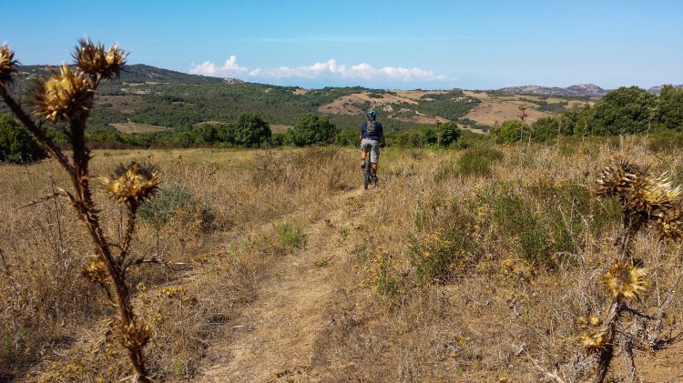 Im Hinterland erwartet Euch unberührte Natur 