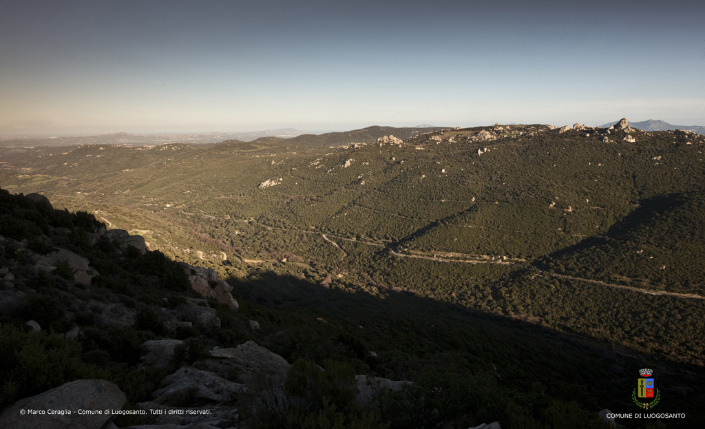 Blick auf die Verbindungsstraße von Luogosanto nach Tempio Pausania